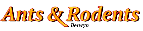 Berwyn Ant Exterminator & Rodent Control Company Logo